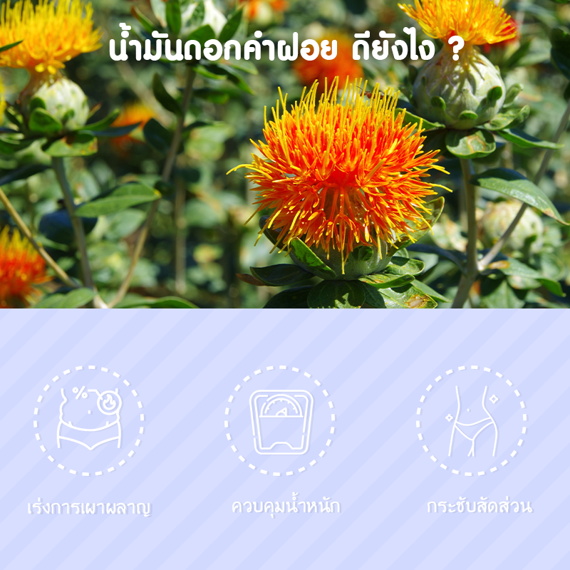 Springmate Modified (CLA) Safflower Oil 1000 mg บรรจุ 30 แคปซูลนิ่ม